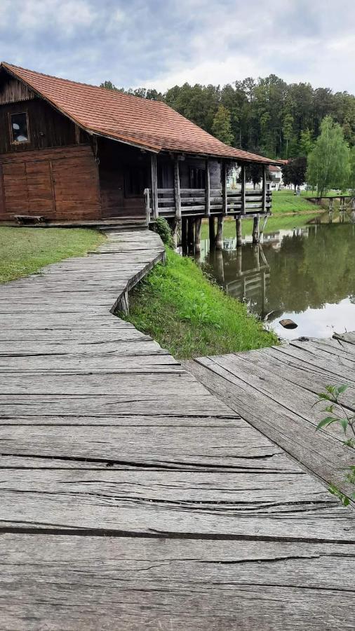 Apartman Abramovic Topusko Exteriör bild